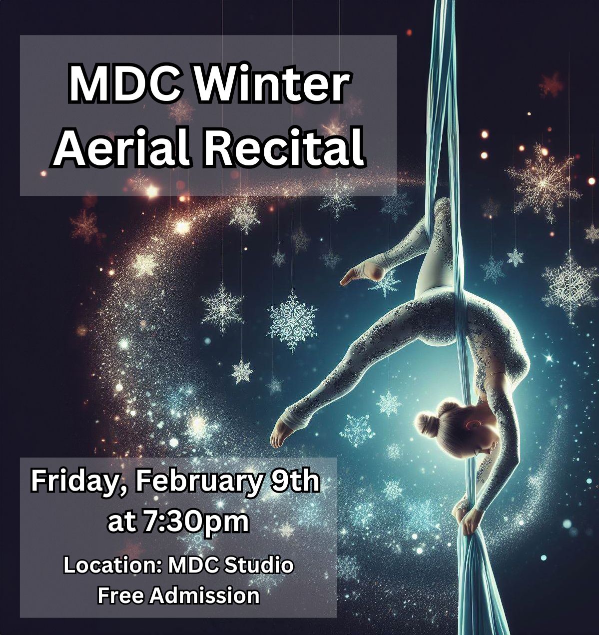 The Movement Dance Center Aerial Winter Show 0263